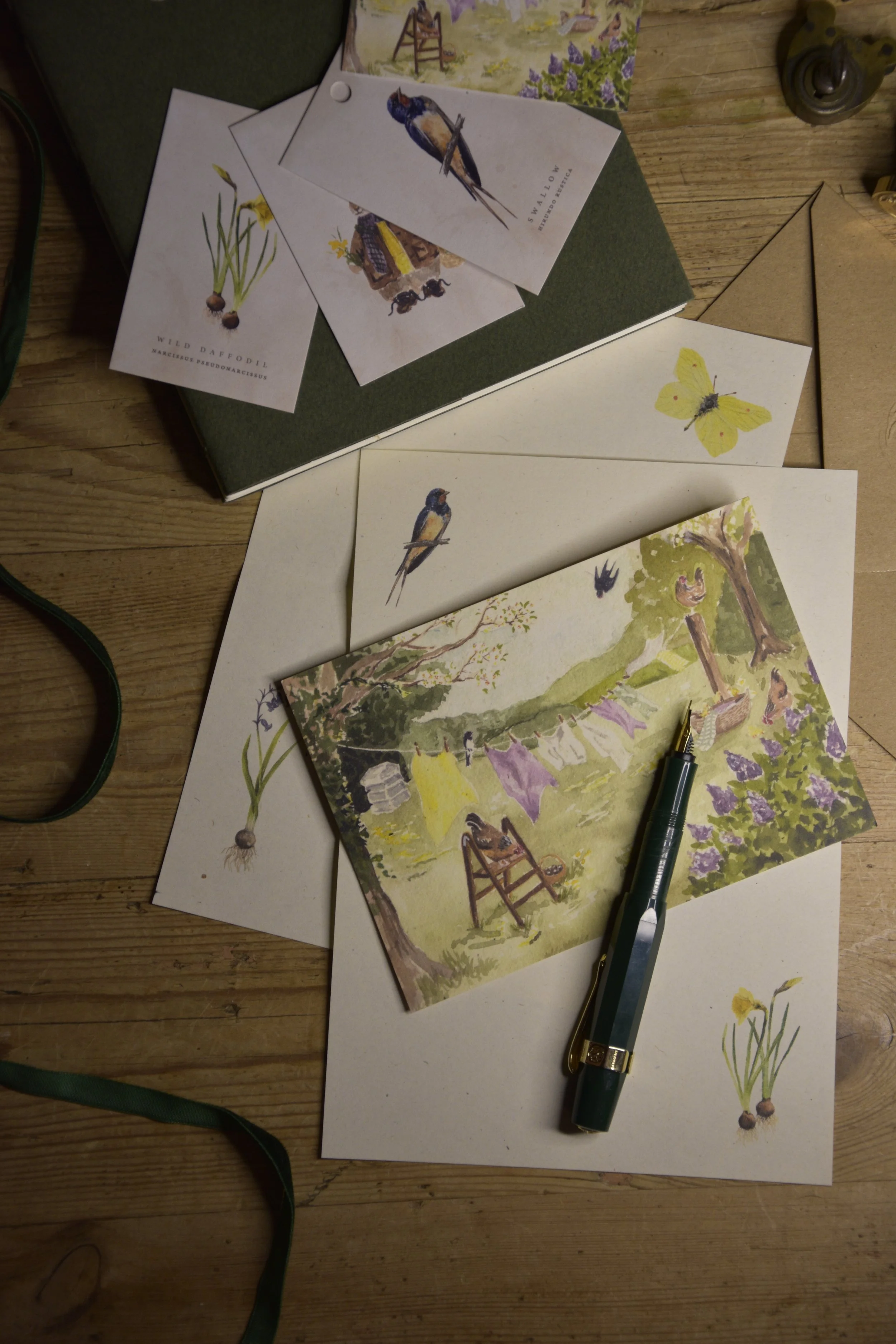 _DSC0645.JPG