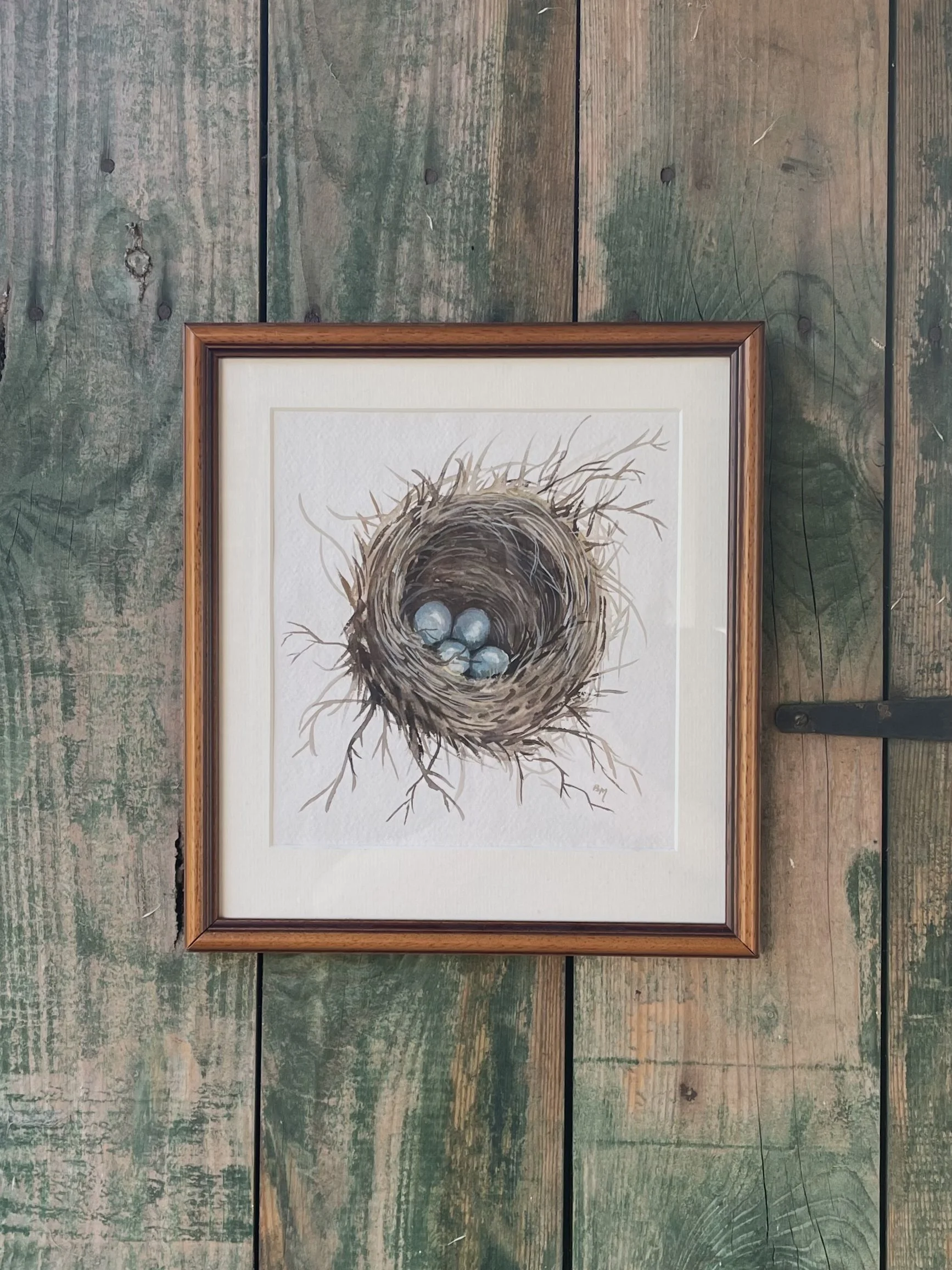 Framed Birds Nest