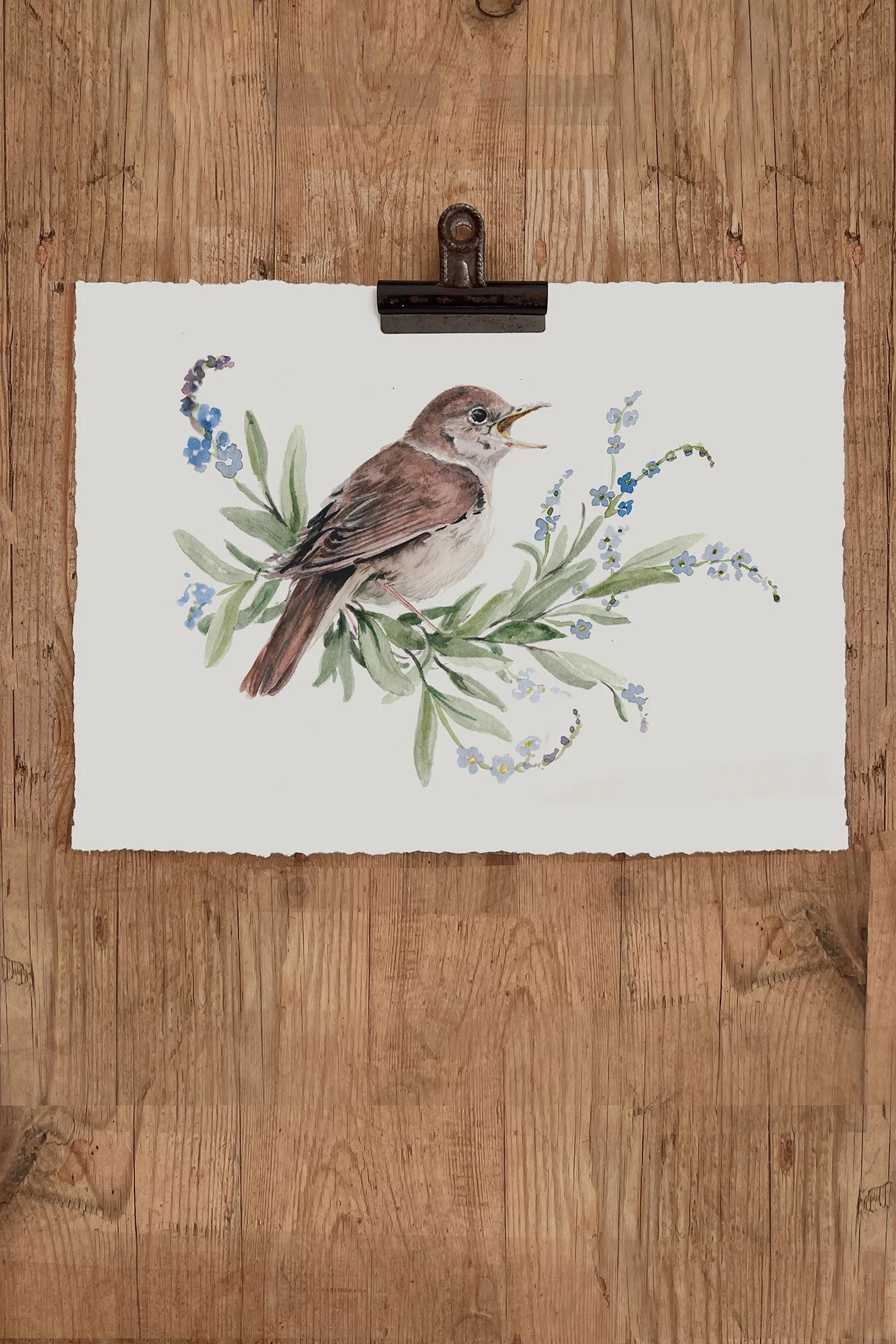 NIGHTINGALE PRINT.jpg