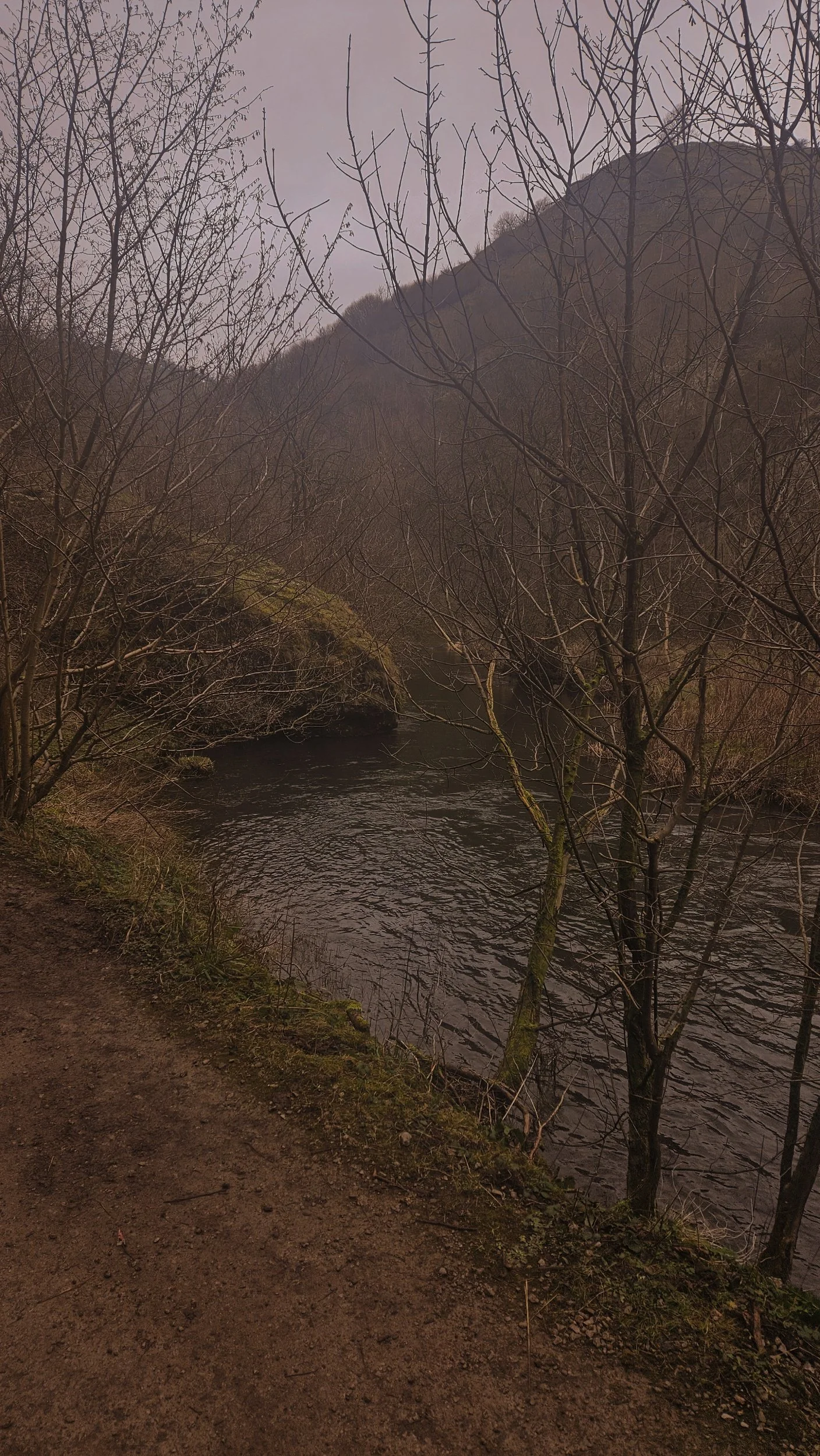 processed_20250119_115810.jpg