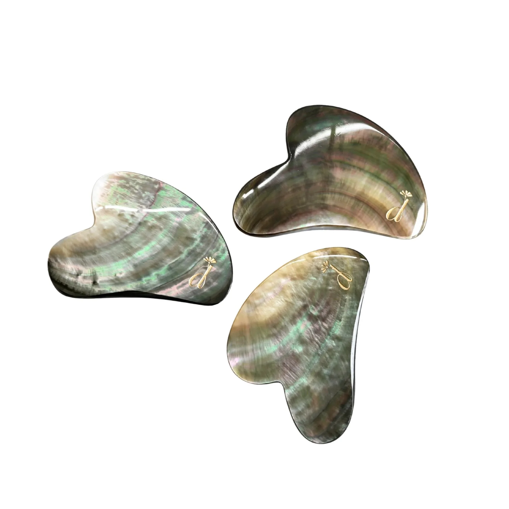 shell gua sha-2 copy.jpg