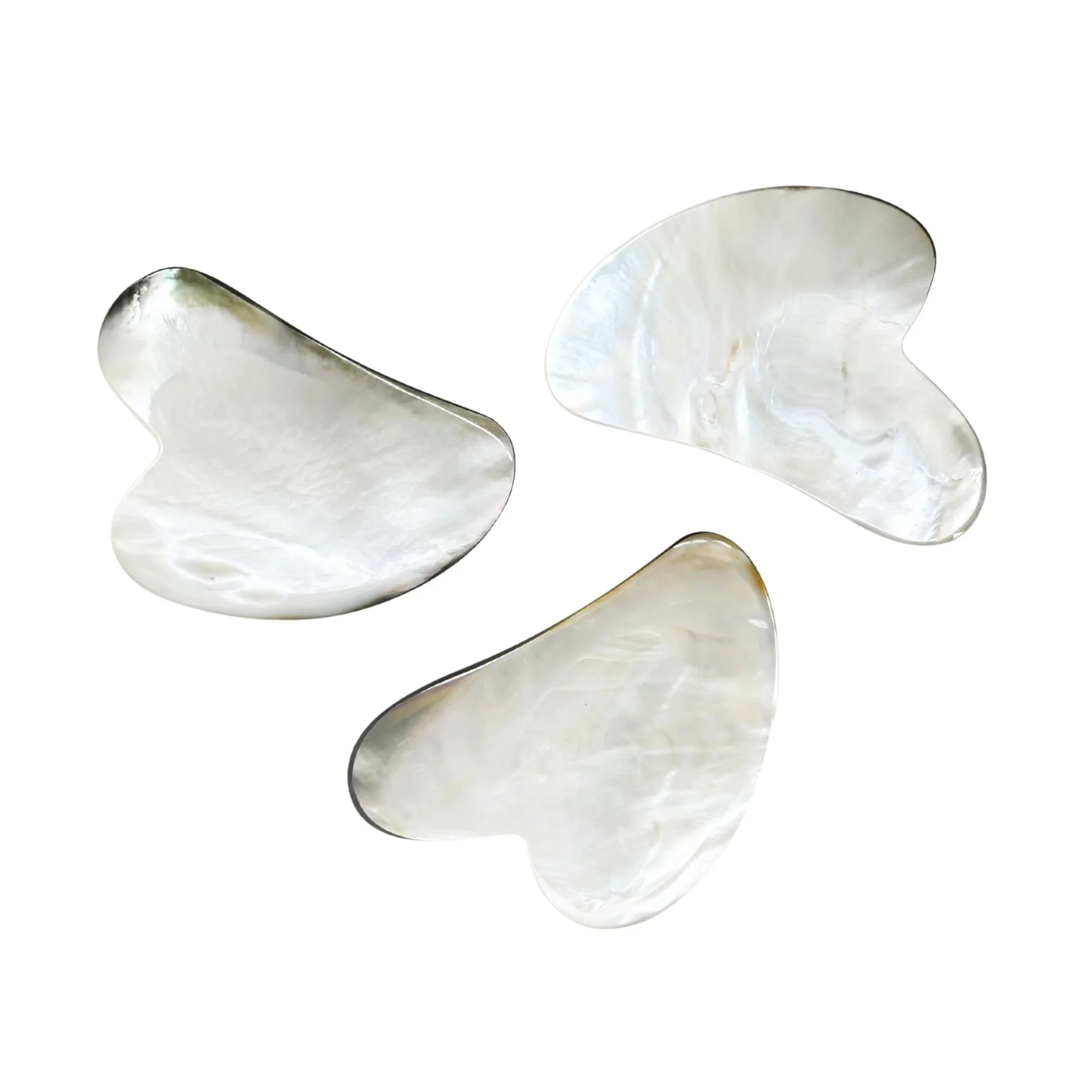 shell gua sha-2 copy 3.jpg