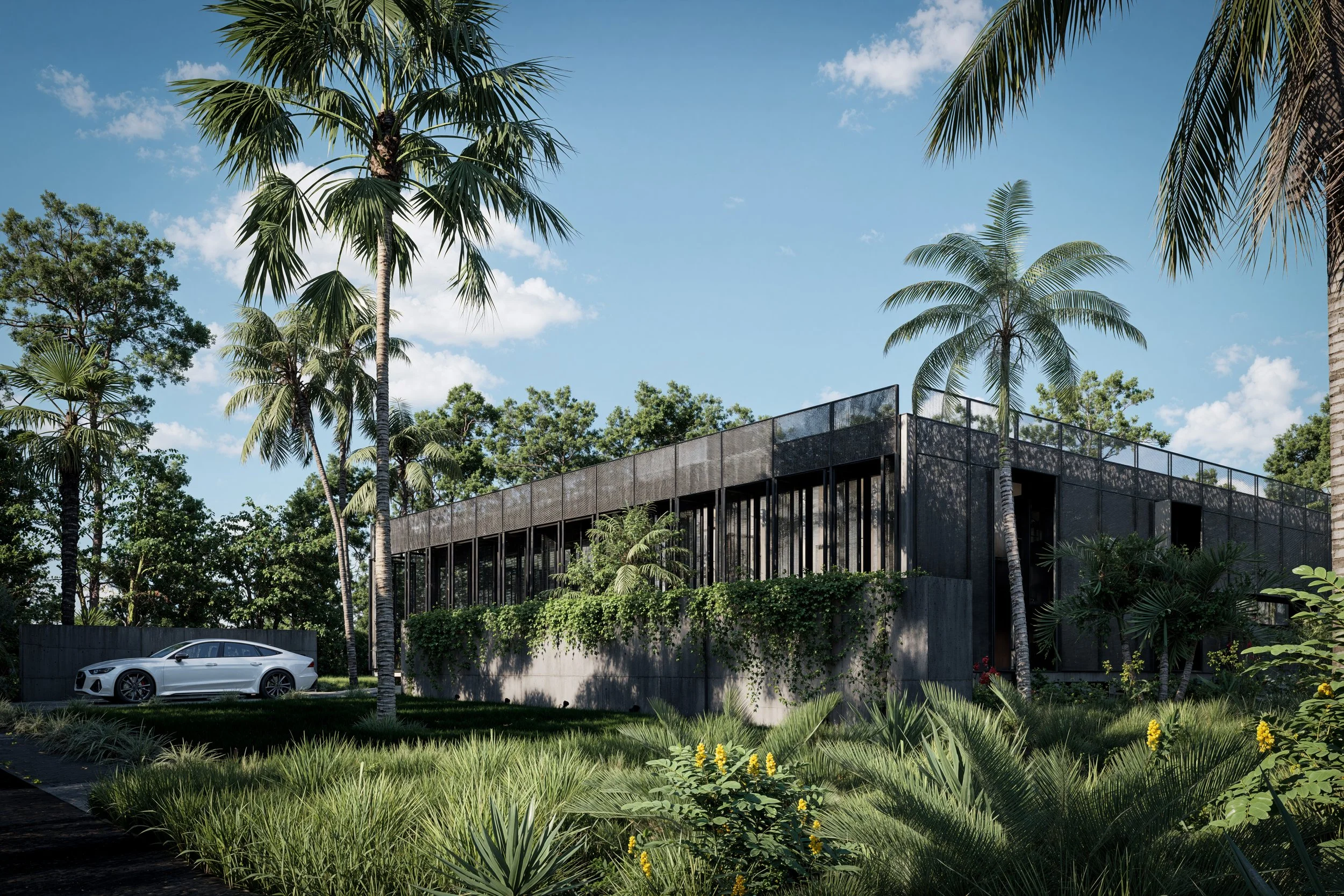 41_estero-house