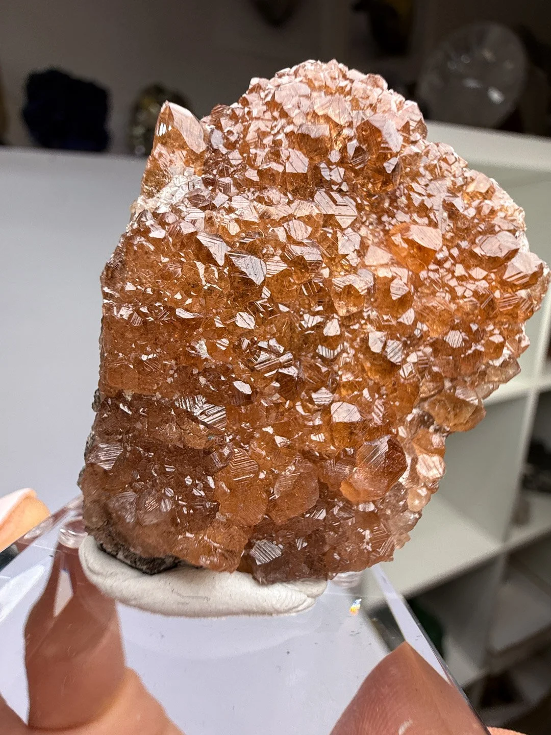 April Update.2026-94.jpg