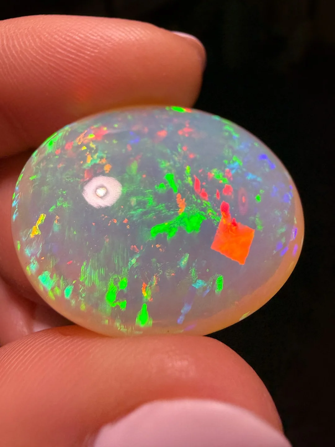 April Update.2026-81.jpg