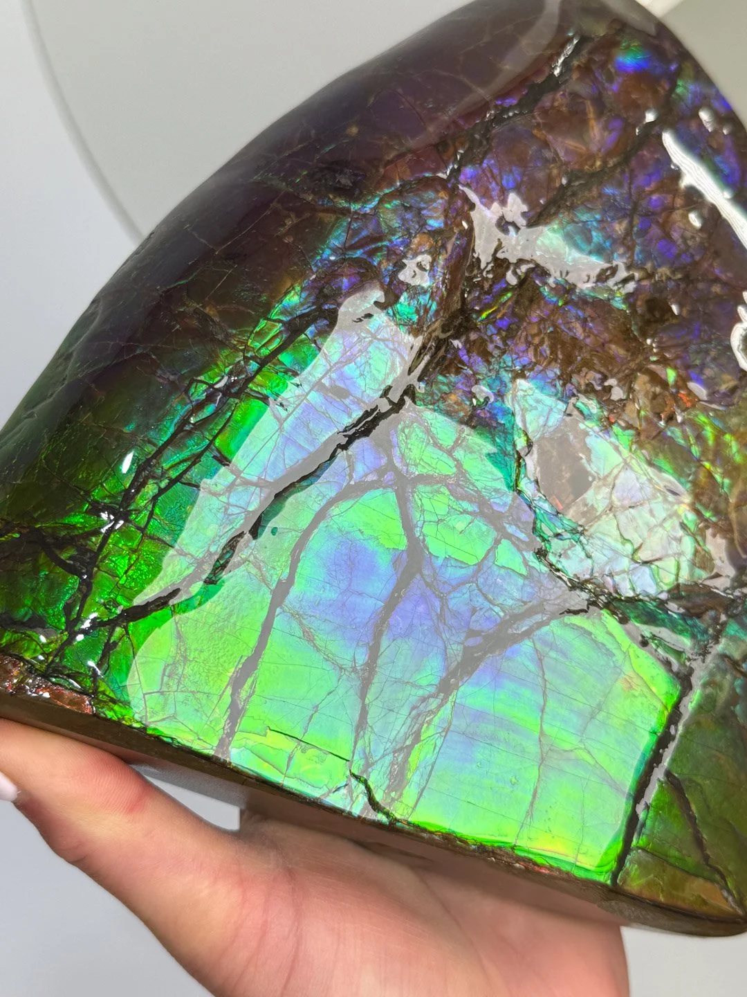 April Update.2026-152.jpg