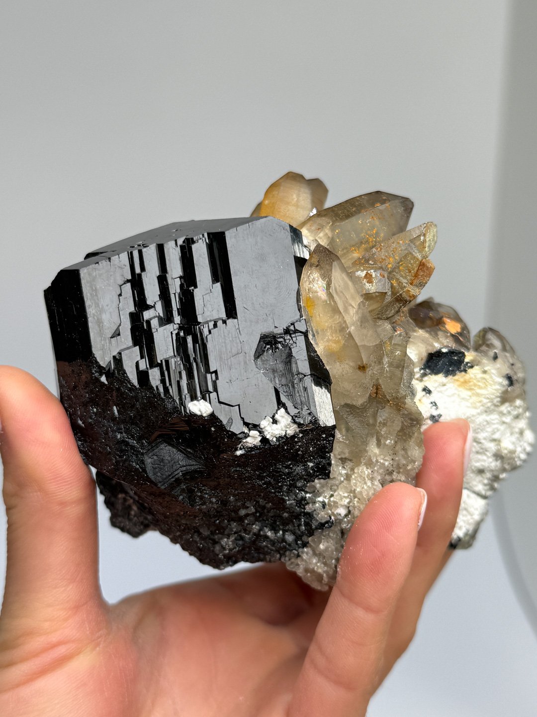 April Update.2026-170.jpg