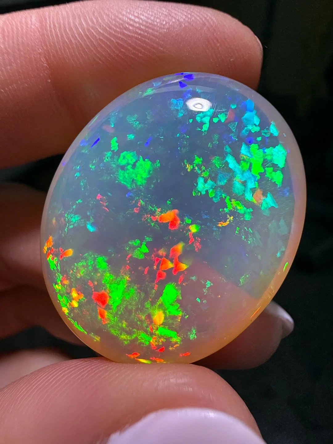 April Update.2026-84.jpg