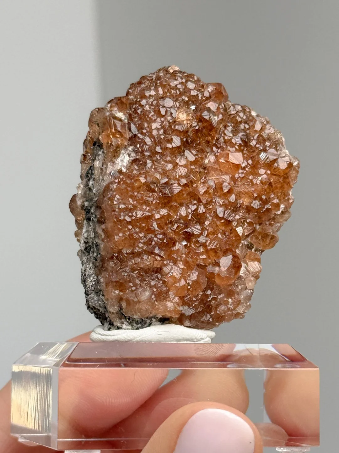 April Update.2026-89.jpg