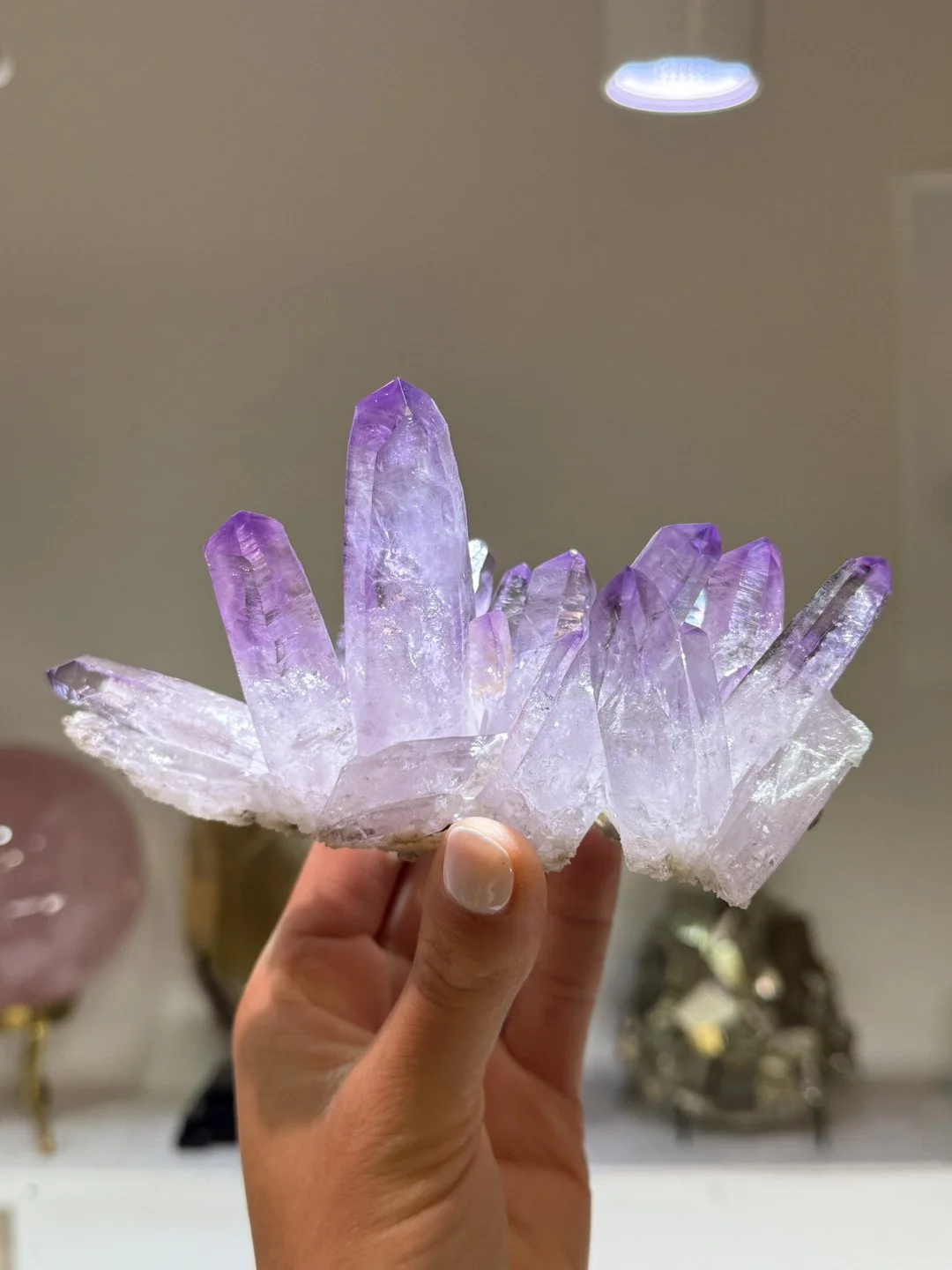 April Update.2026-136.jpg