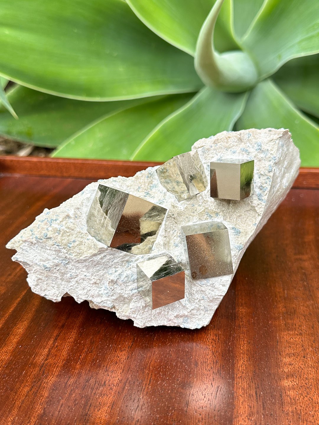 Pyrite Update 7-2024-17.jpg