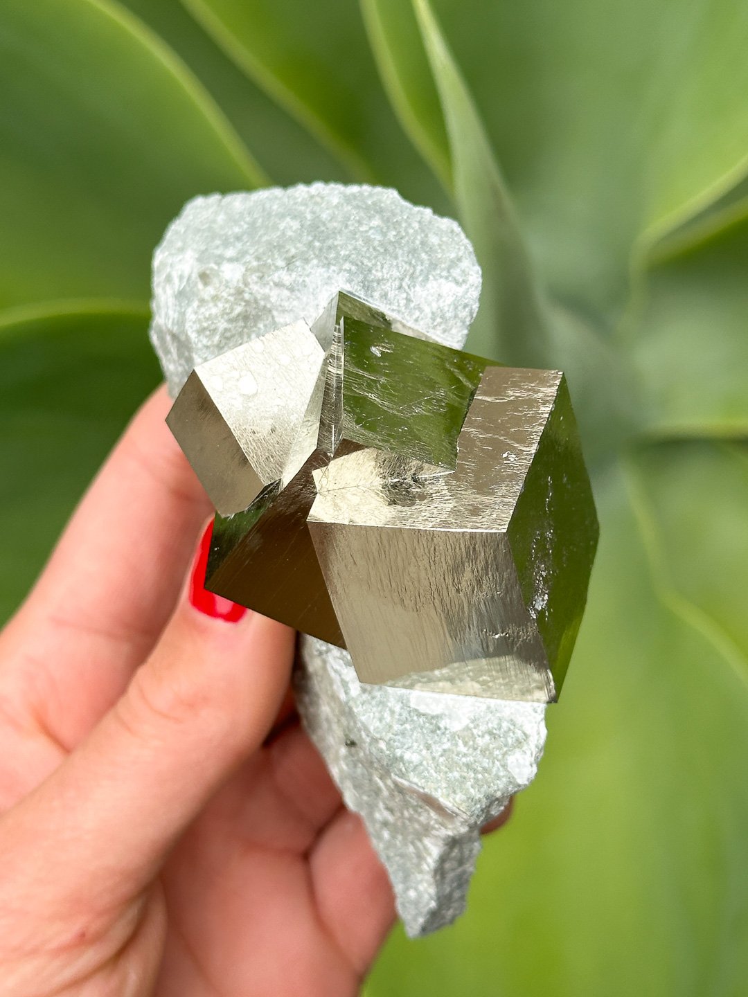 Pyrite Update 7-2024-40.jpg