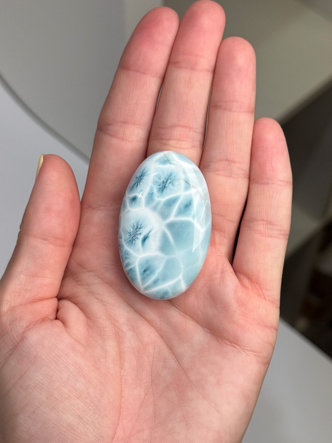 Larimar_Update_1111.jpg