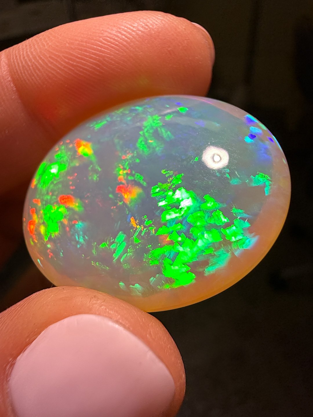 April Update.2026-80.jpg