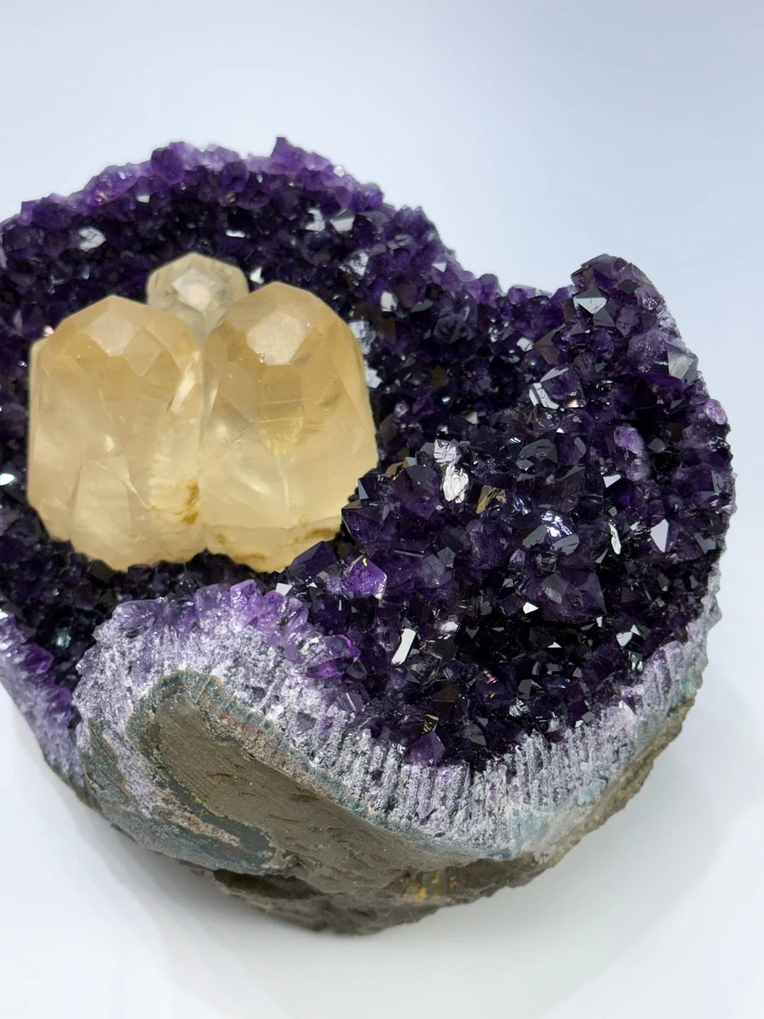 April Update.2026-159.jpg