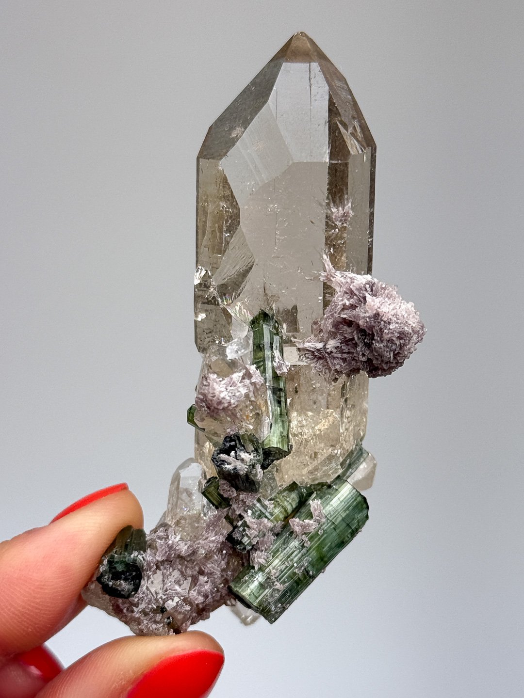 Gucci_May_2026-58.jpg