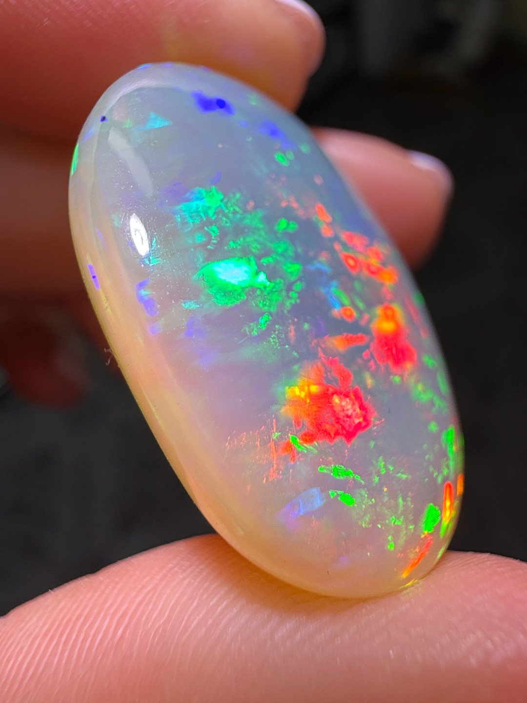 April Update.2026-83.jpg