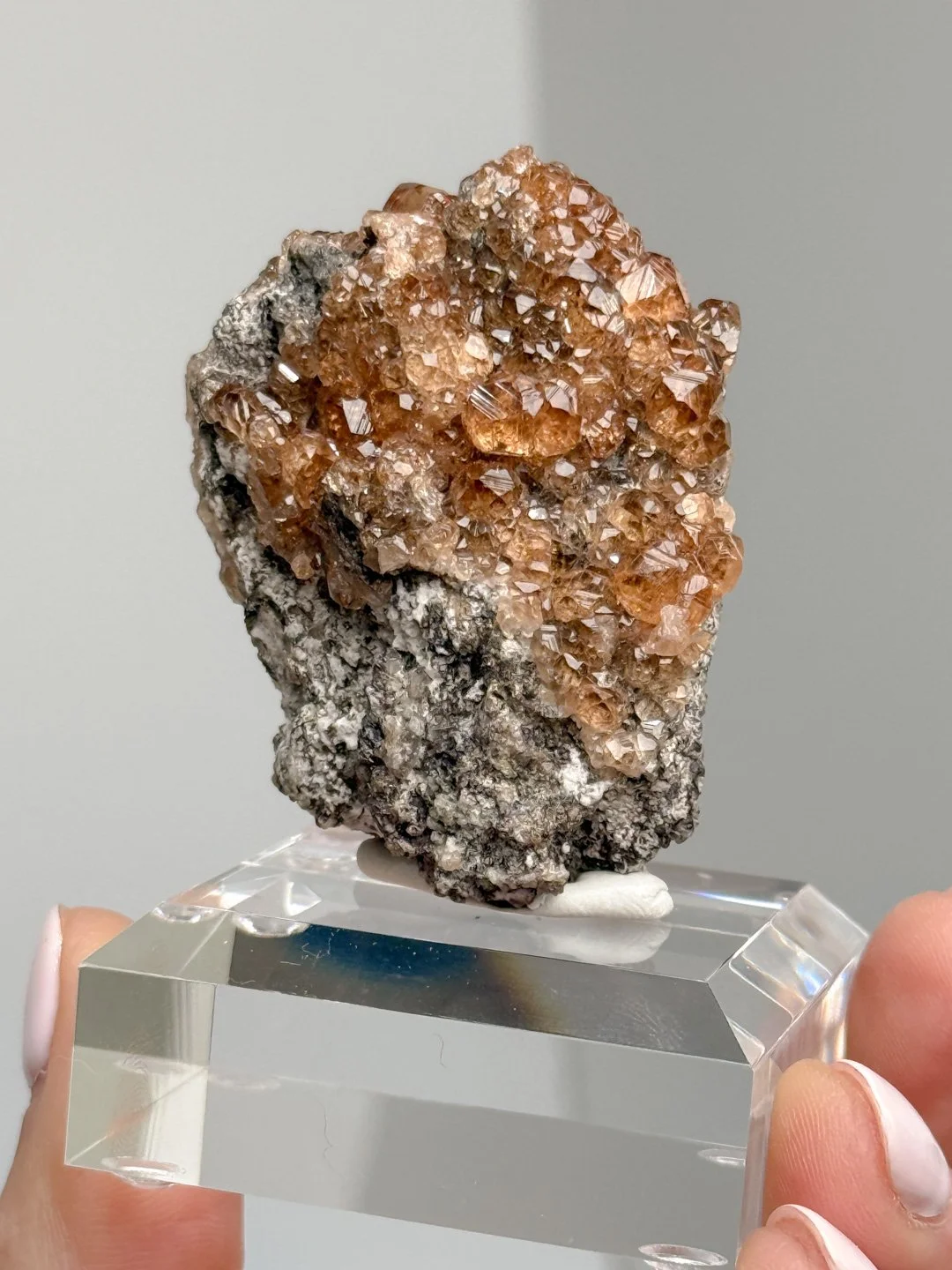 April Update.2026-92.jpg