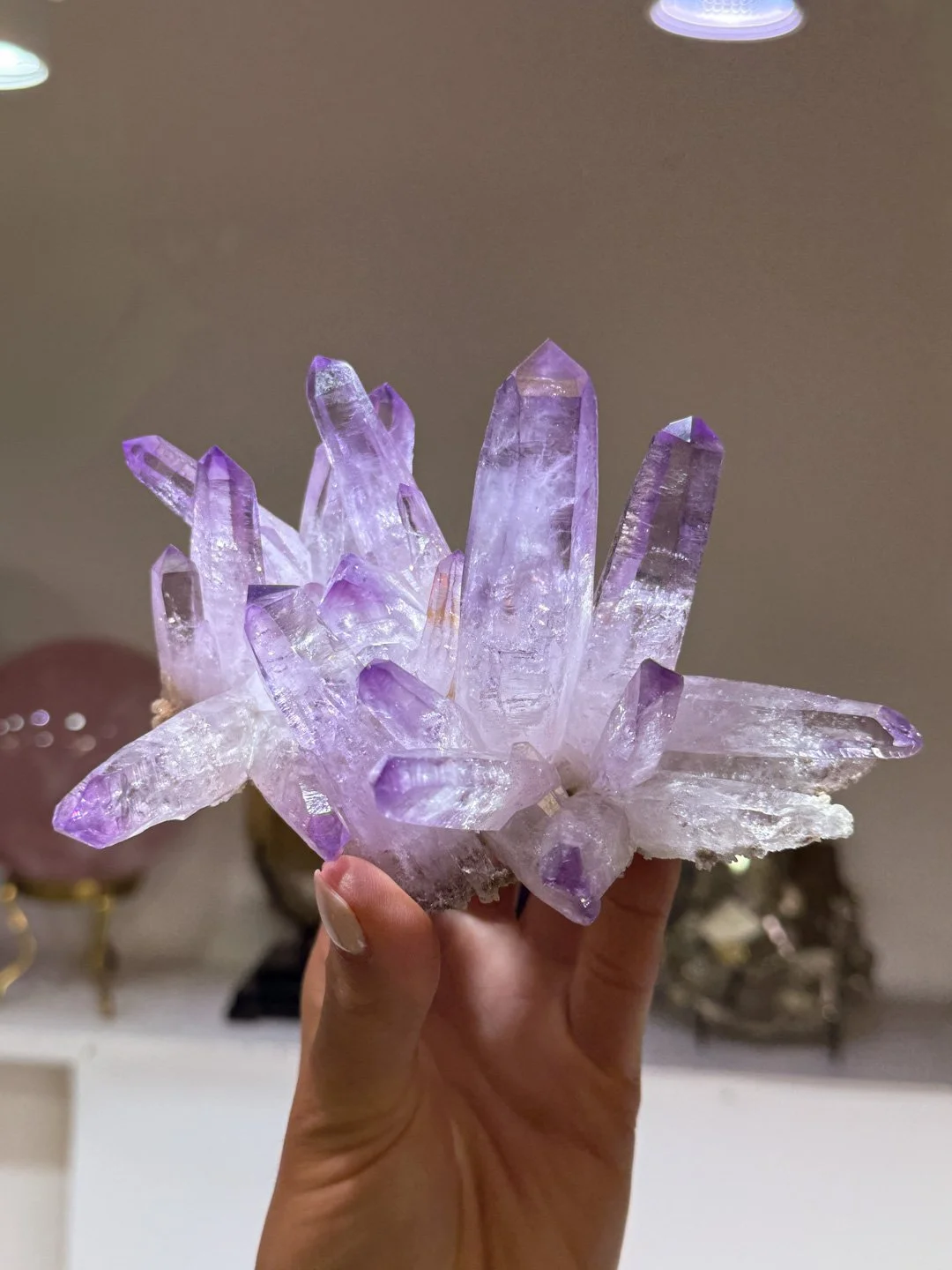 April Update.2026-130.jpg