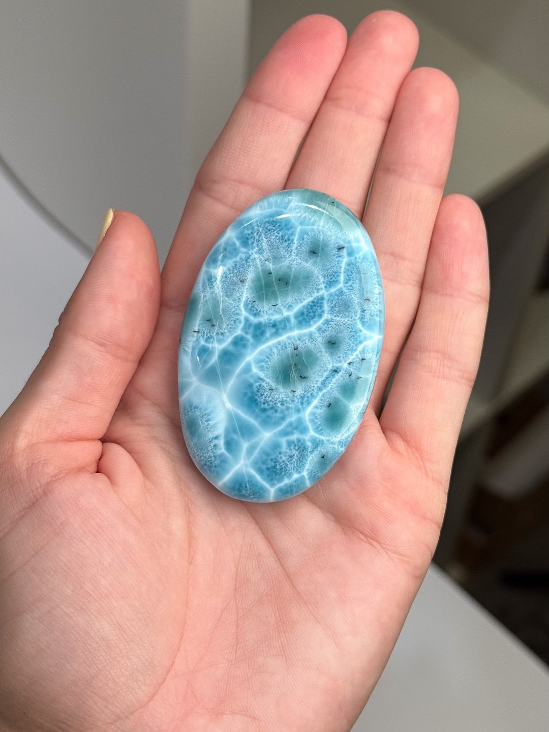 Larimar_Update_196.jpg