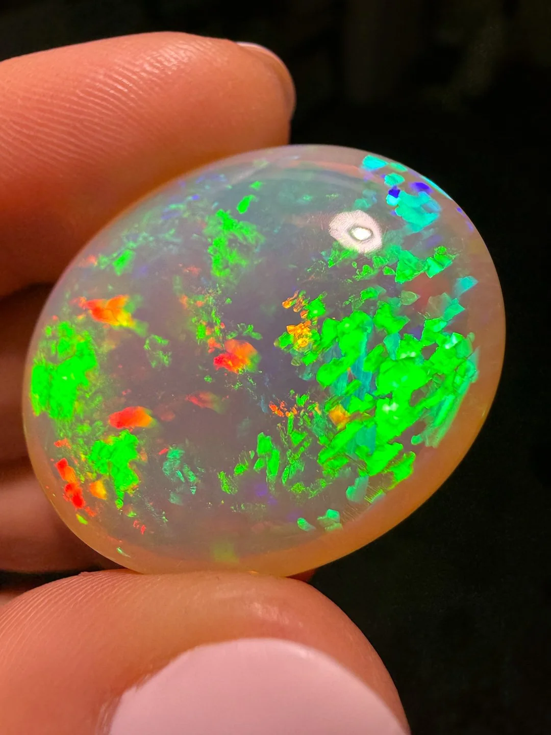 April Update.2026-82.jpg