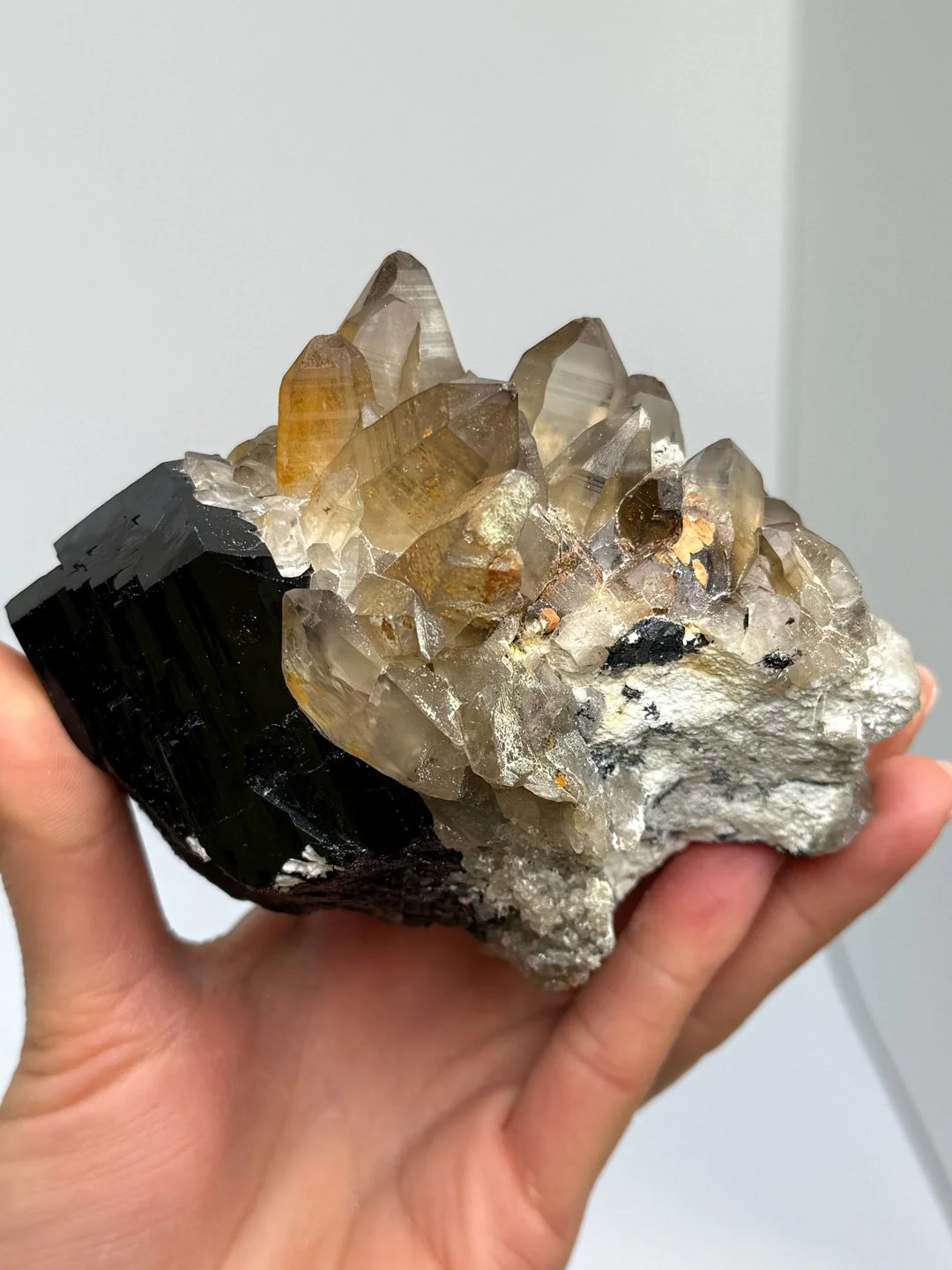 April Update.2026-171.jpg