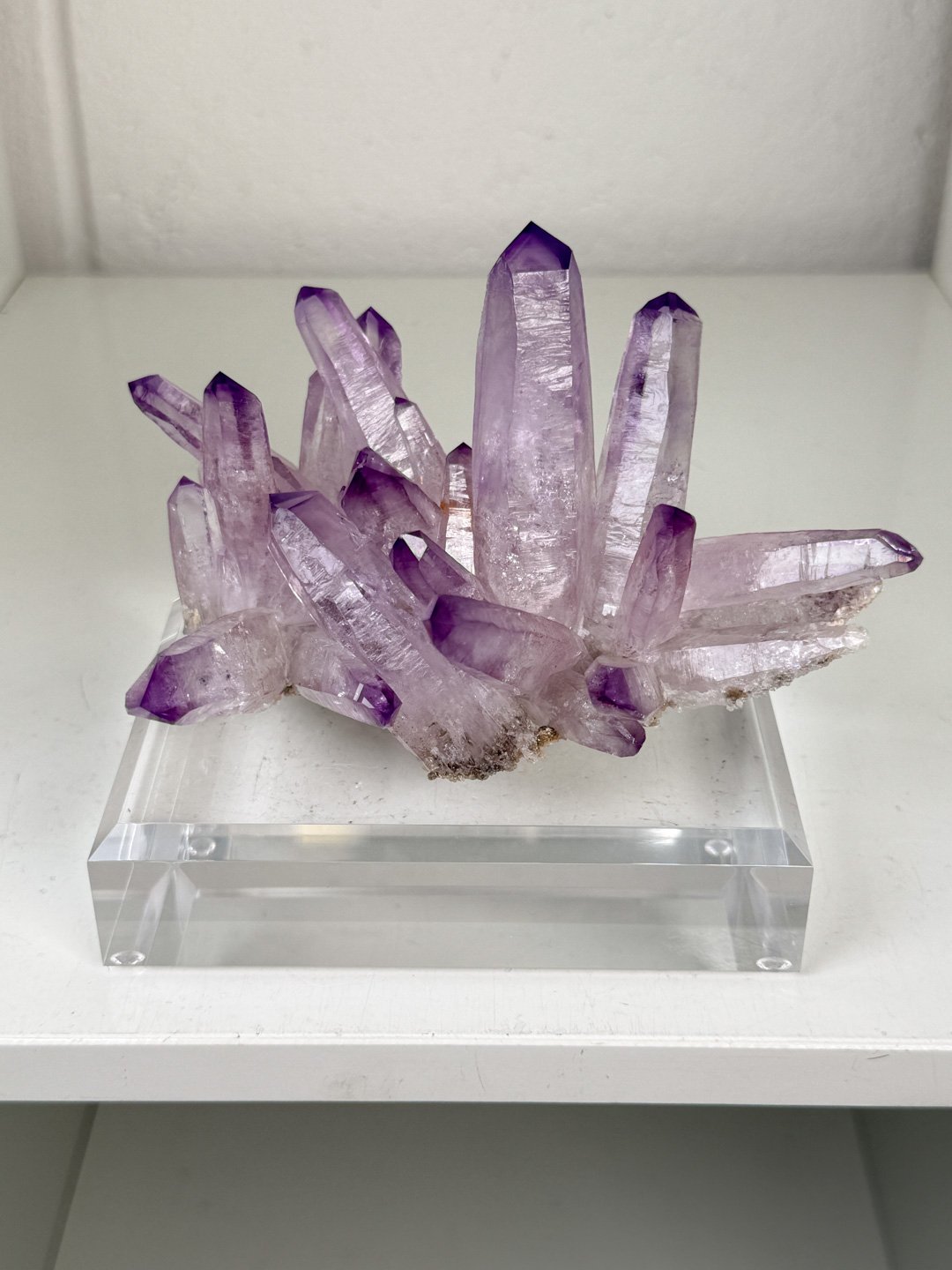 April Update.2026-141.jpg