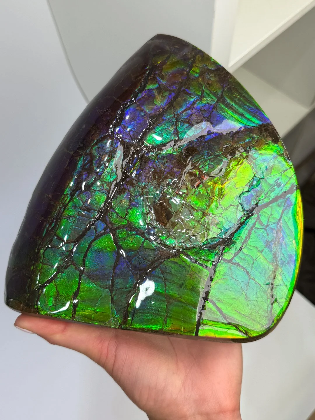 April Update.2026-149.jpg