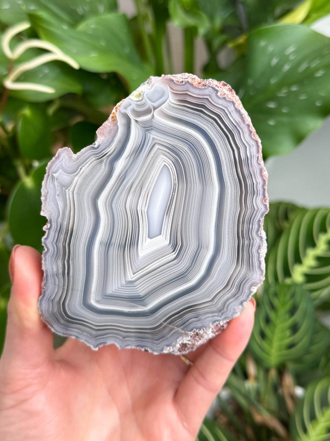 Agate-1.jpg