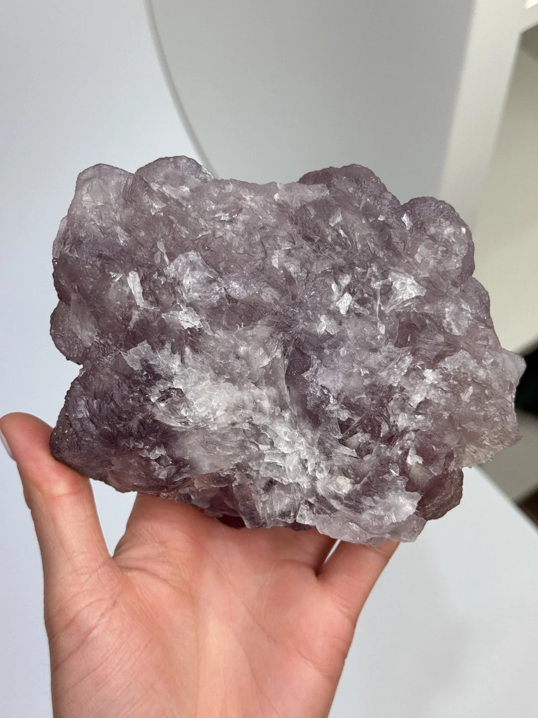 April Update.2026-101.jpg