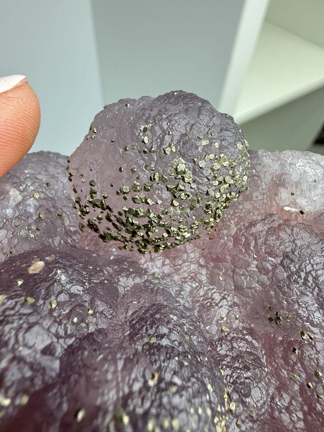 April Update.2026-107.jpg