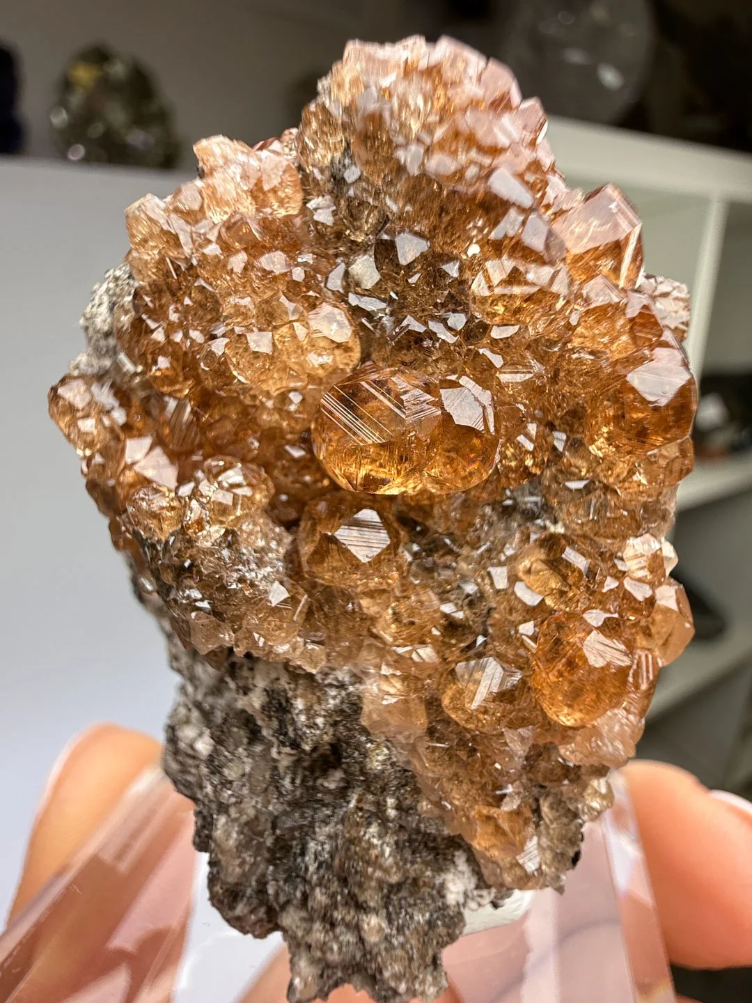 April Update.2026-93.jpg