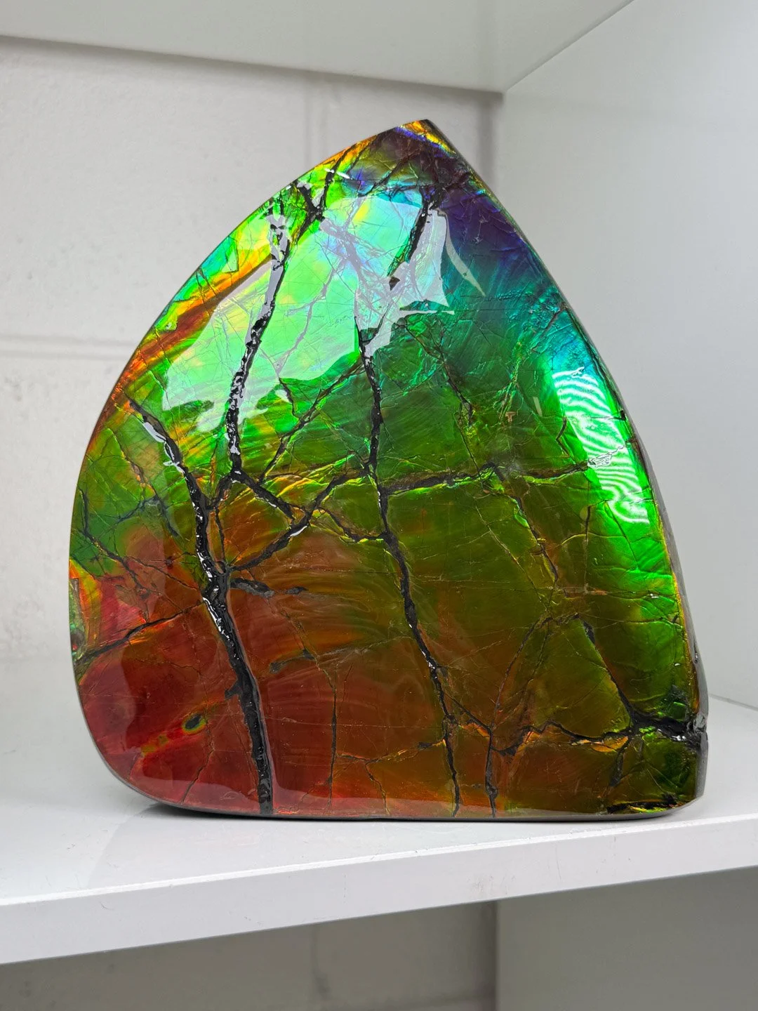 April Update.2026-155.jpg