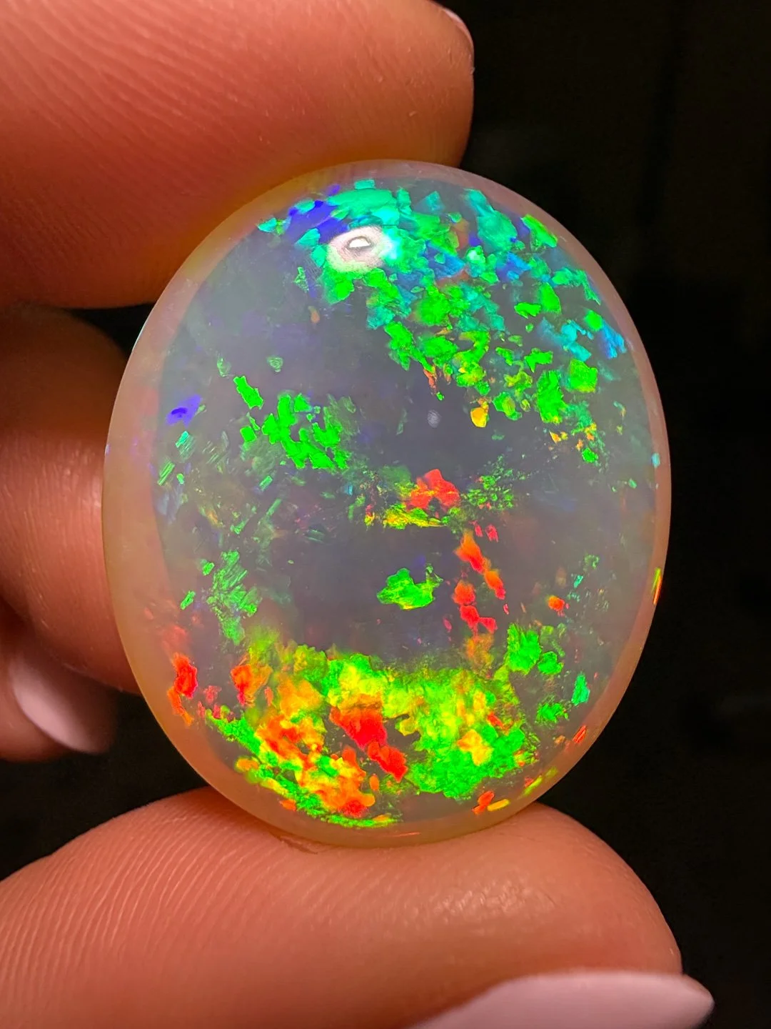 April Update.2026-78.jpg