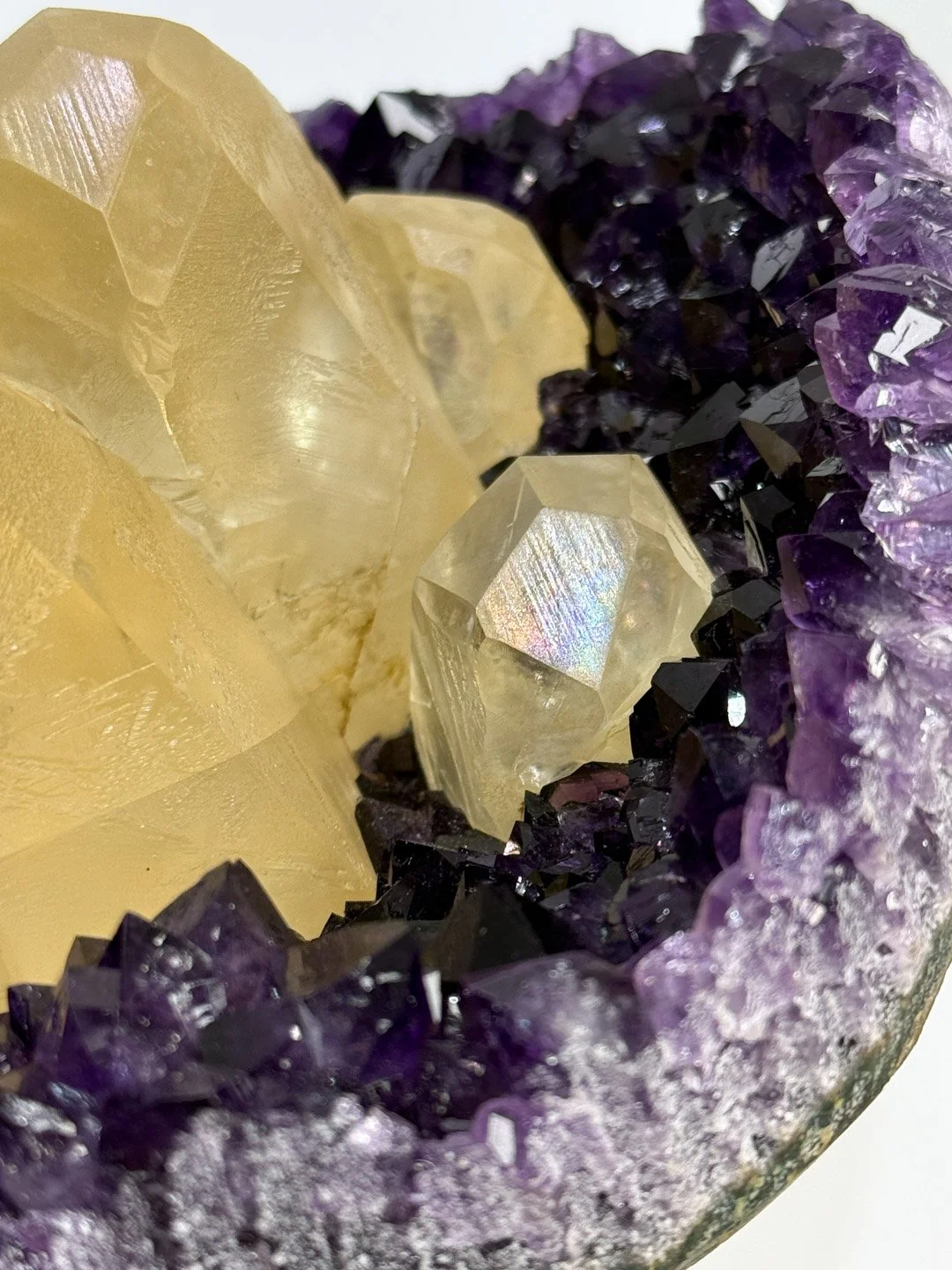 April Update.2026-161.jpg