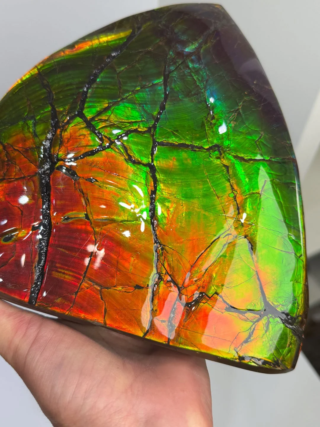 April Update.2026-145.jpg