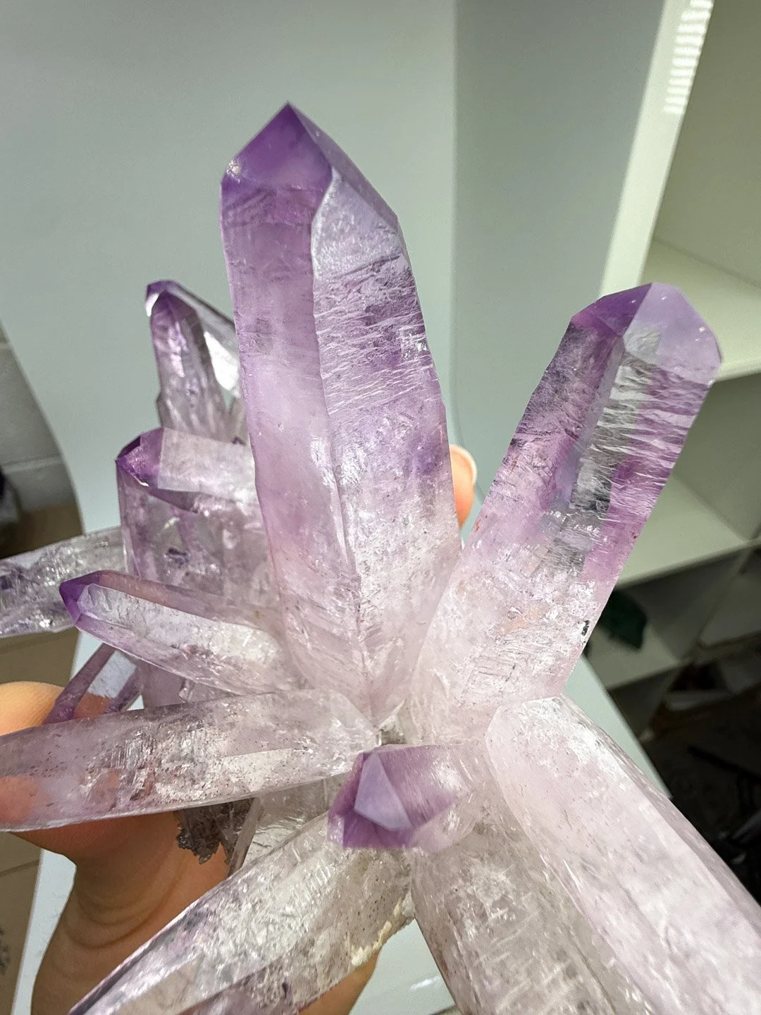 April Update.2026-139.jpg