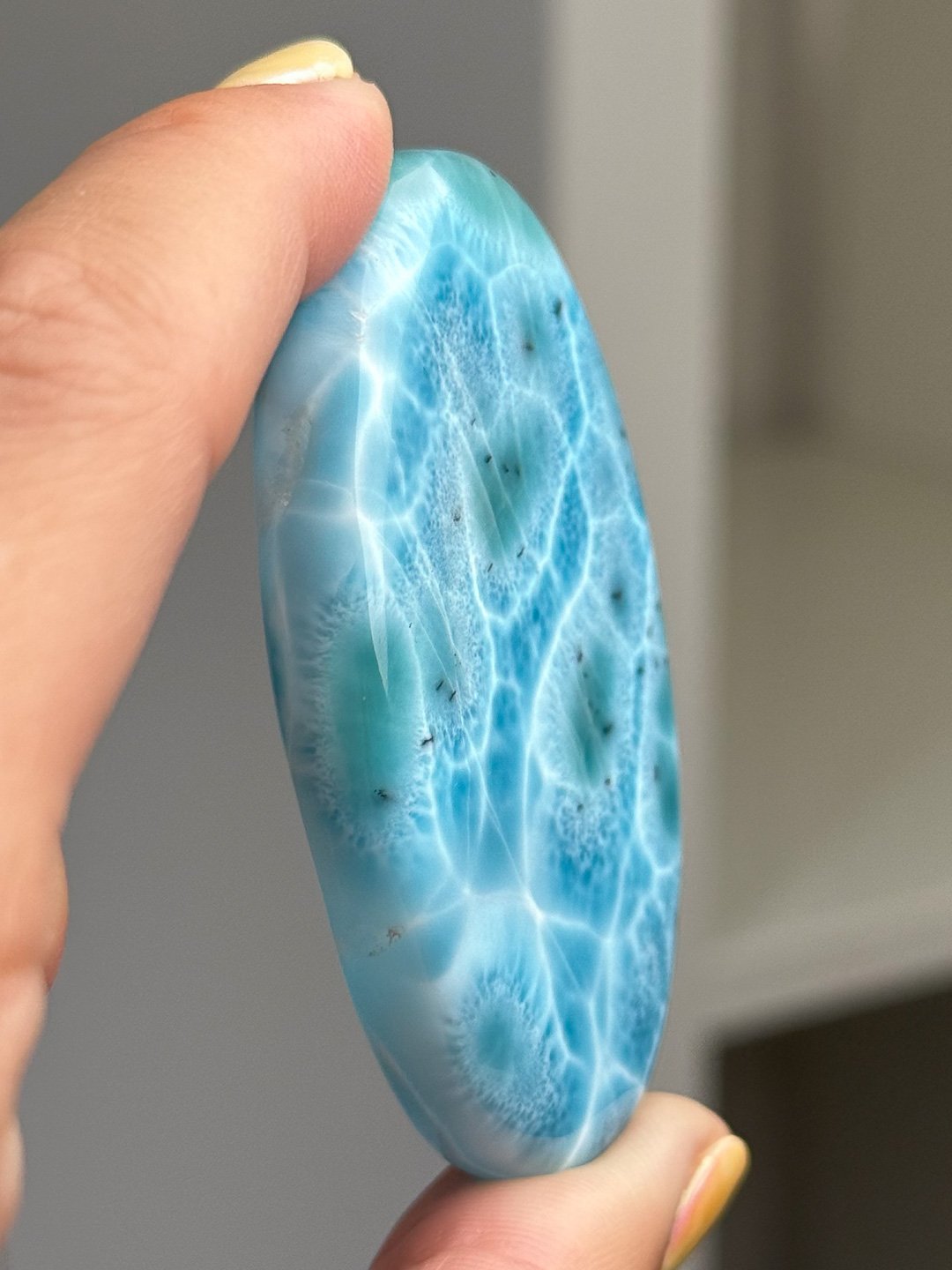 Larimar_Update_193.jpg