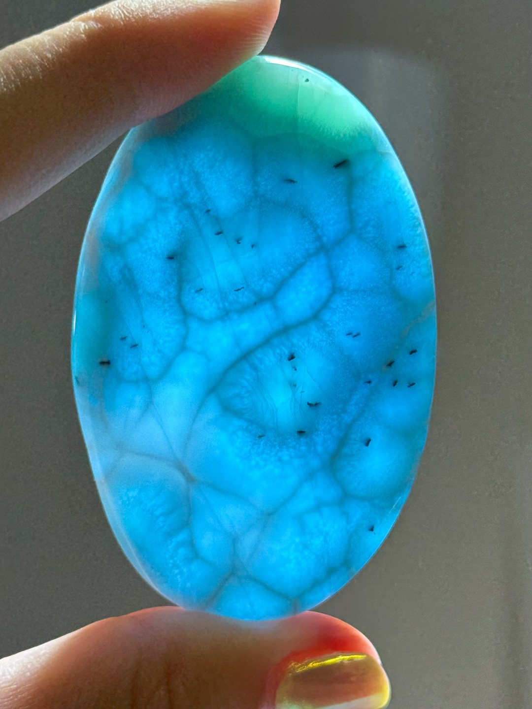 Larimar_Update_195.jpg