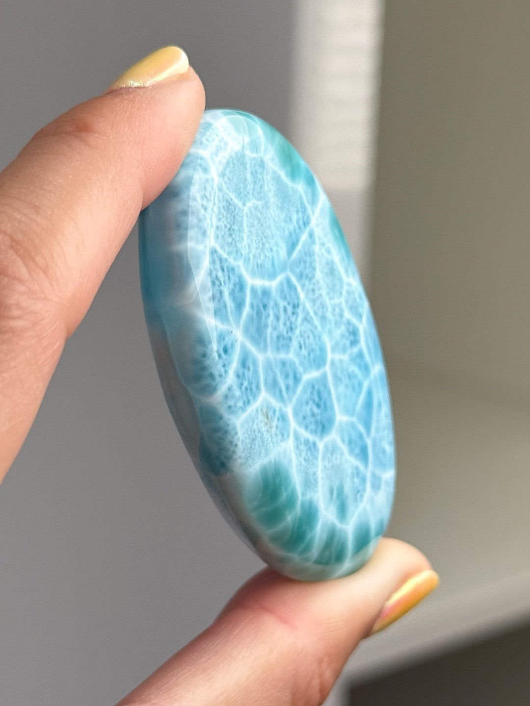 Larimar_Update_1123.jpg
