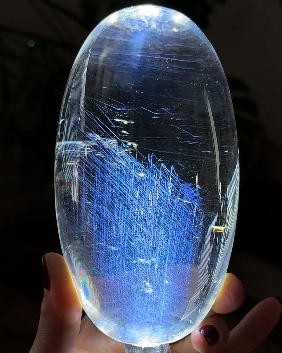 blue needle-13.jpg