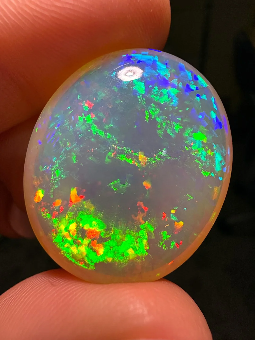 April Update.2026-79.jpg