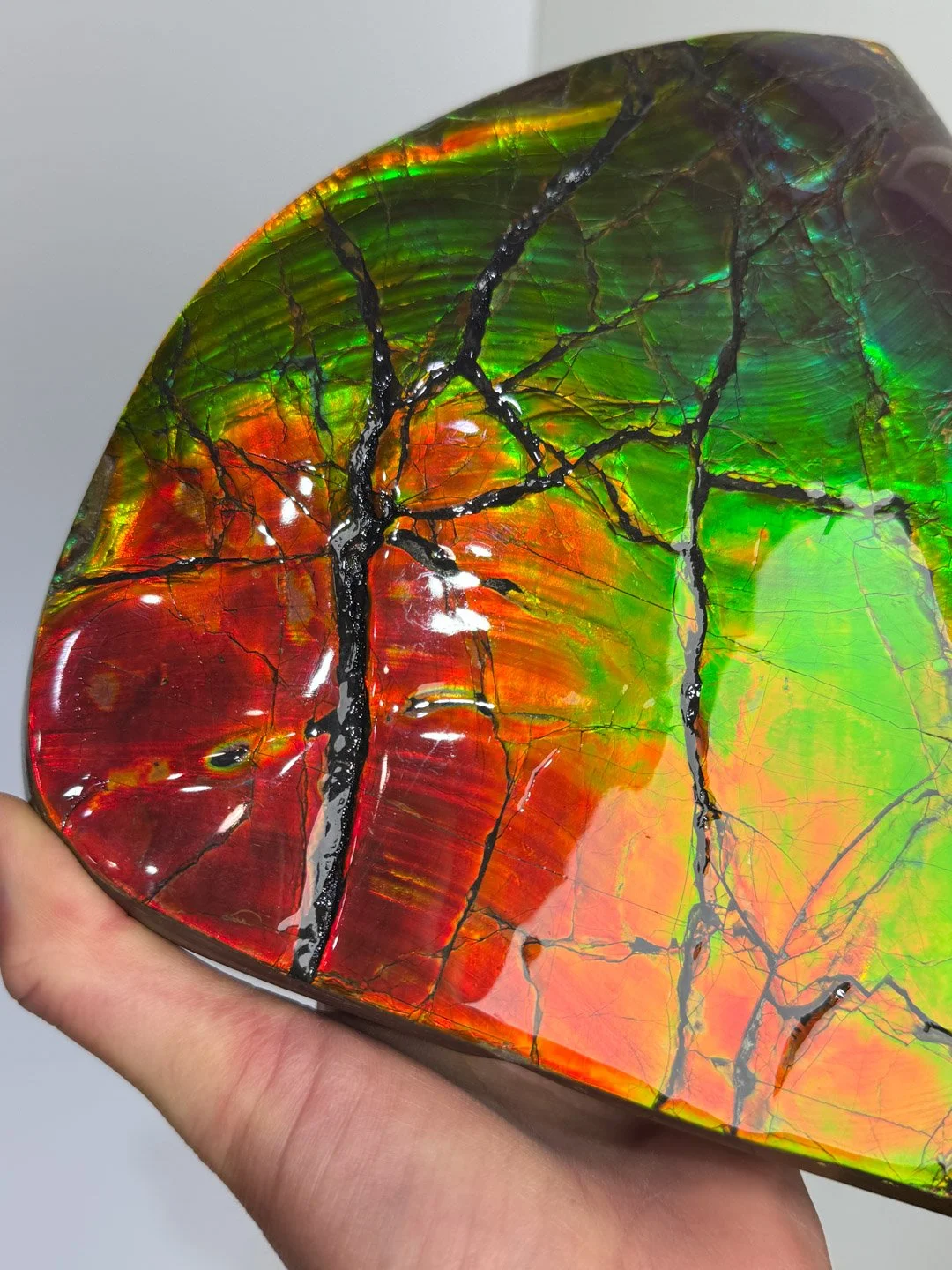 April Update.2026-146.jpg