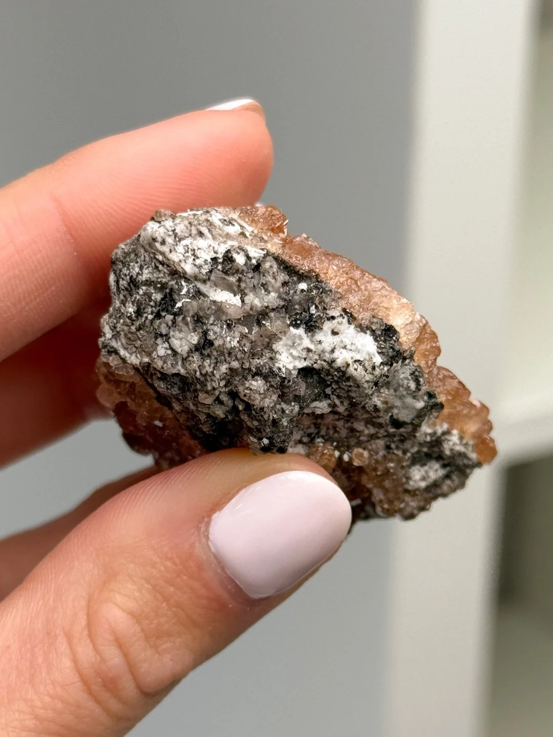 April Update.2026-95.jpg