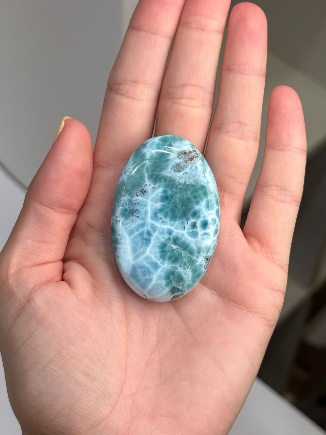 Larimar_Update_1106.jpg
