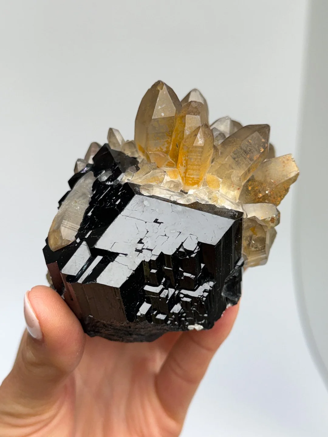 April Update.2026-169.jpg