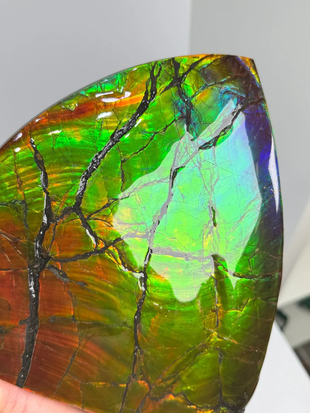 April Update.2026-144.jpg