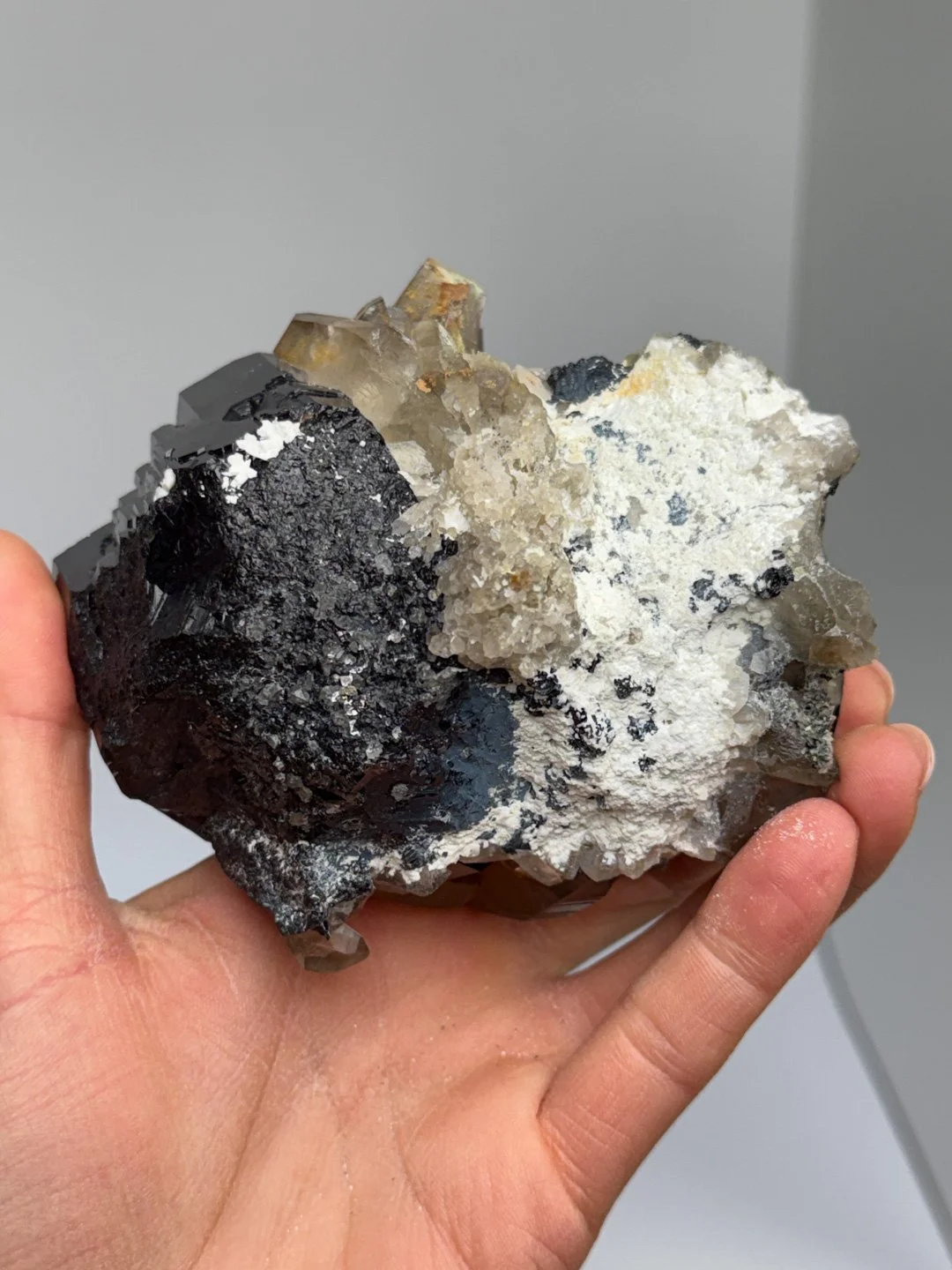 April Update.2026-172.jpg