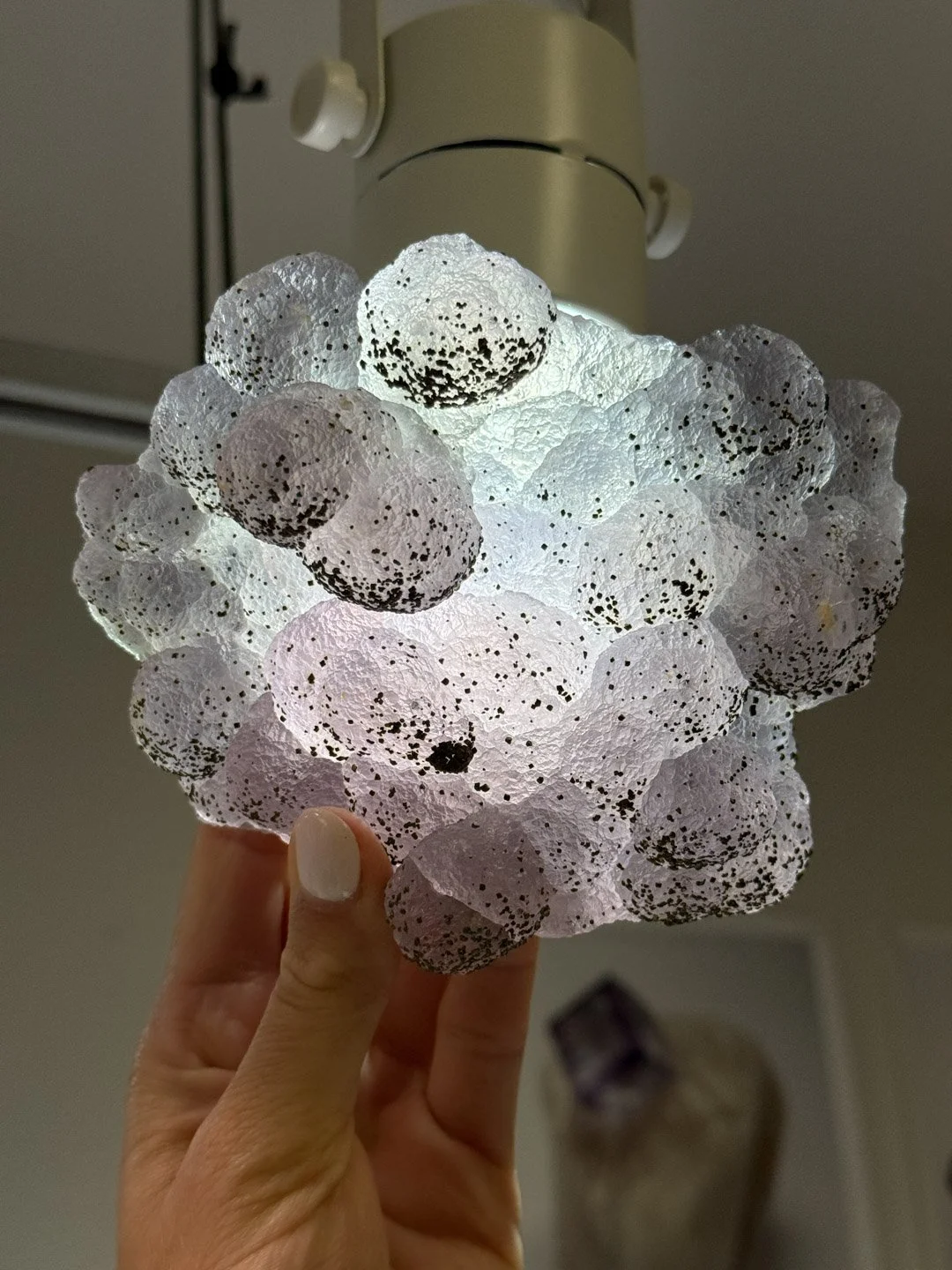 April Update.2026-104.jpg