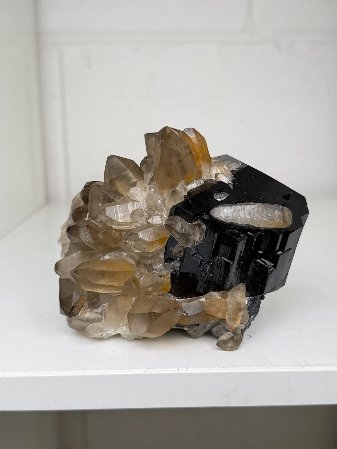 April Update.2026-173.jpg